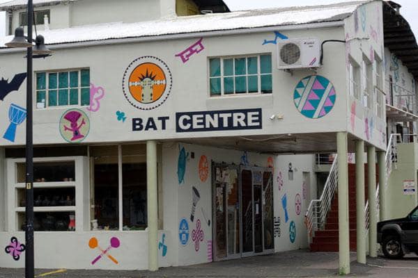 https://mdw-travel-data-us-east-1.s3.amazonaws.com/img/country/South-Africa/The-BAT-Centre/img_03.jpg