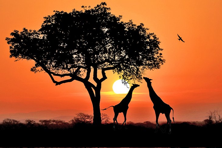 https://mdw-travel-data-us-east-1.s3.amazonaws.com/img/country/South-Africa/The-Crossing-Spar/img_03.jpg