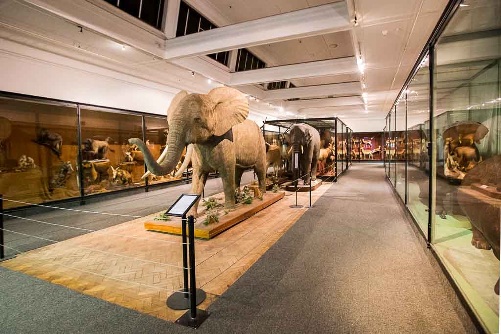 https://mdw-travel-data-us-east-1.s3.amazonaws.com/img/country/South-Africa/The-Old-House-Museum/img_00.jpg