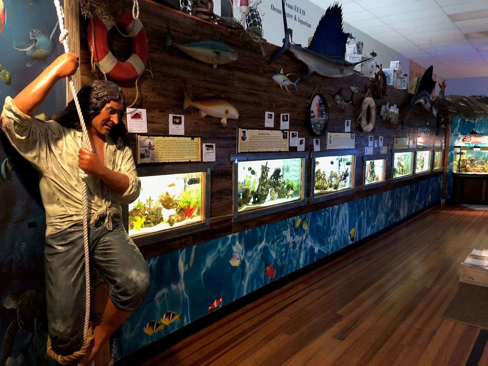 https://mdw-travel-data-us-east-1.s3.amazonaws.com/img/country/South-Africa/The-Shark-Lab-Aquarium-and-Research-Facility/img_02.jpg