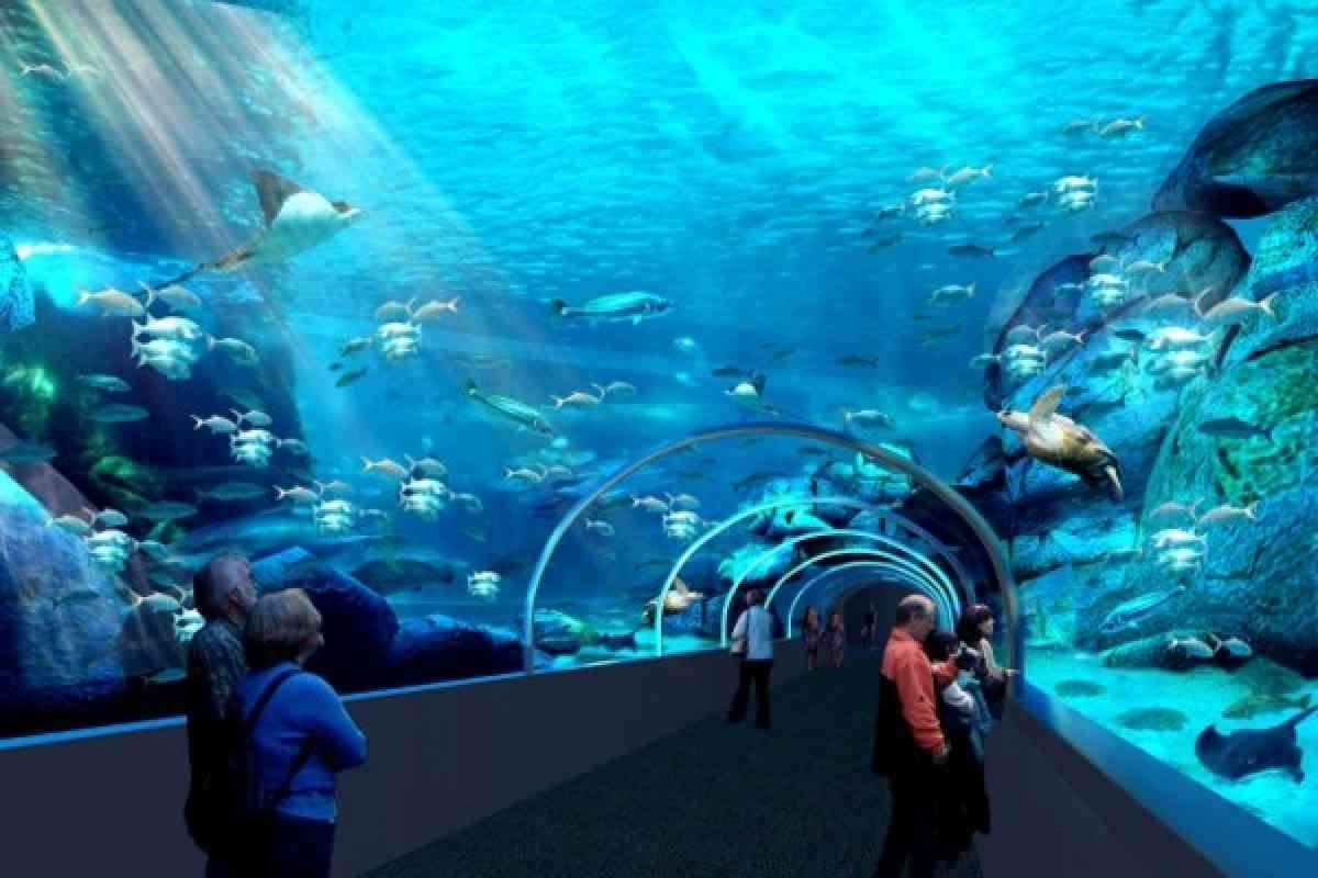 https://mdw-travel-data-us-east-1.s3.amazonaws.com/img/country/South-Africa/Two-Oceans-Aquarium/img_01.jpg