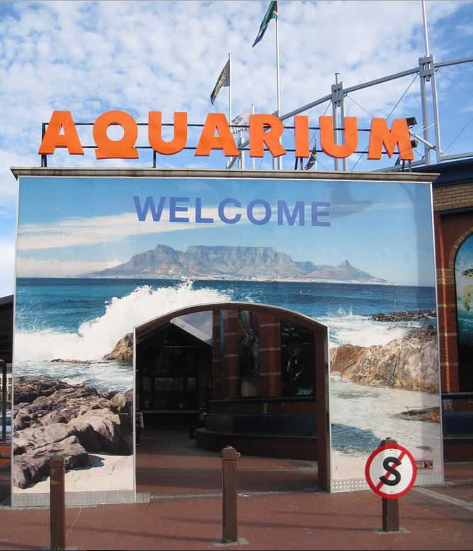 https://mdw-travel-data-us-east-1.s3.amazonaws.com/img/country/South-Africa/Two-Oceans-Aquarium/img_03.jpg