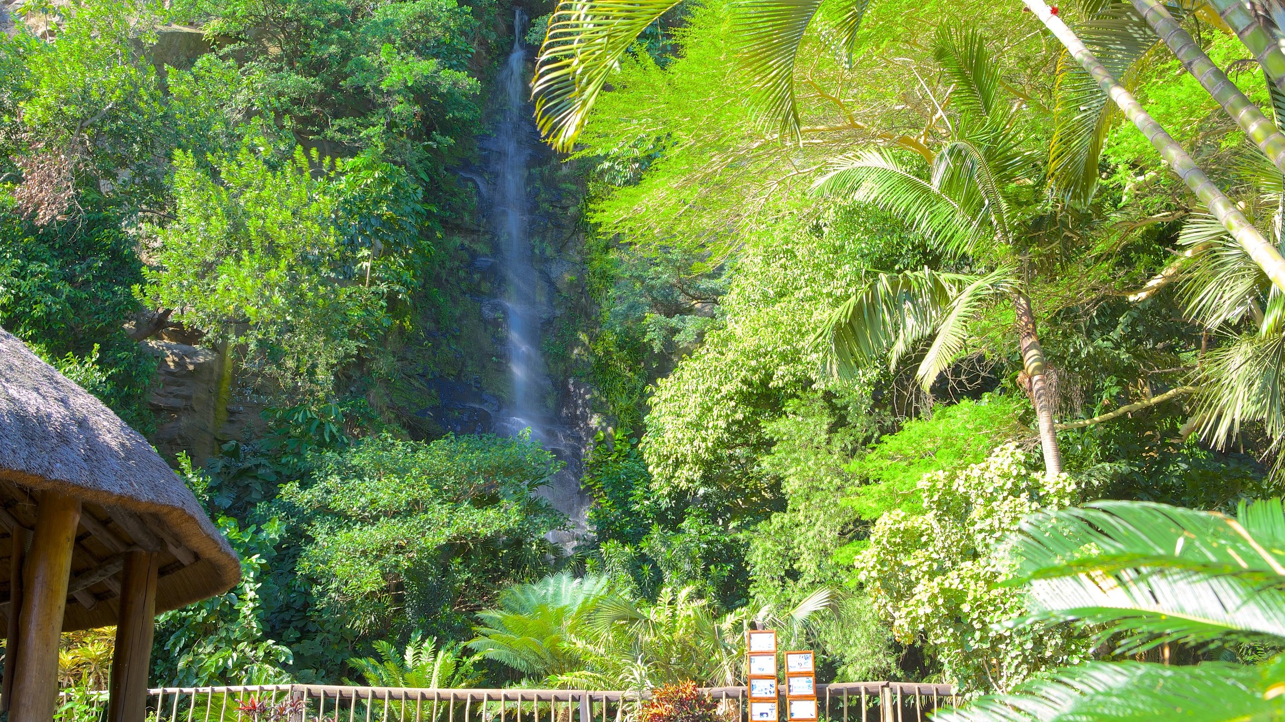 https://mdw-travel-data-us-east-1.s3.amazonaws.com/img/country/South-Africa/Umgeni-River-Bird-Park/img_01.jpg