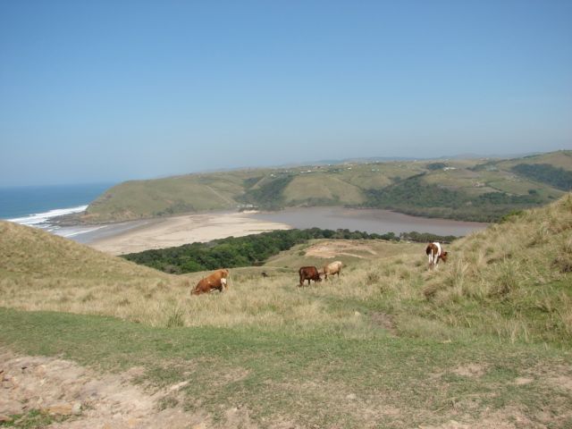 https://mdw-travel-data-us-east-1.s3.amazonaws.com/img/country/South-Africa/Umtata-Golf-Club/img_03.jpg