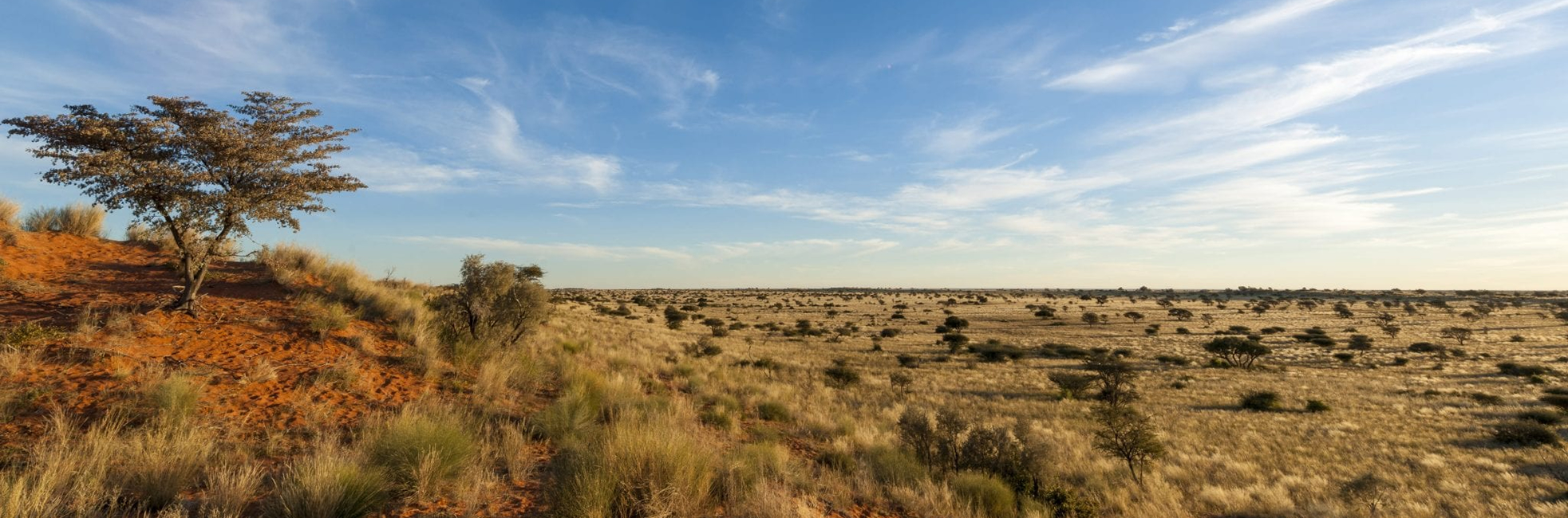 https://mdw-travel-data-us-east-1.s3.amazonaws.com/img/country/South-Africa/Upington-Golf-Club/img_03.jpg