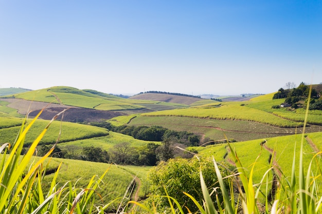 https://mdw-travel-data-us-east-1.s3.amazonaws.com/img/country/South-Africa/Valley-of-a-Thousand-Hills/img_03.jpg