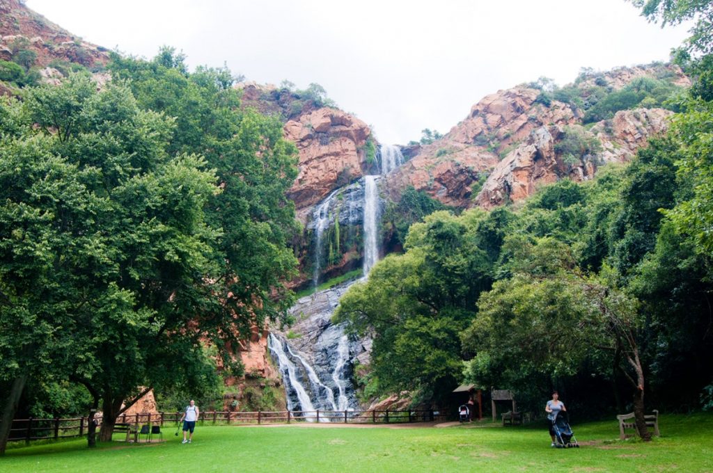 https://mdw-travel-data-us-east-1.s3.amazonaws.com/img/country/South-Africa/Walter-Sisulu-National-Botanical-Garden/img_01.jpg