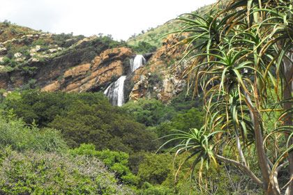 https://mdw-travel-data-us-east-1.s3.amazonaws.com/img/country/South-Africa/Walter-Sisulu-National-Botanical-Garden/img_02.jpg