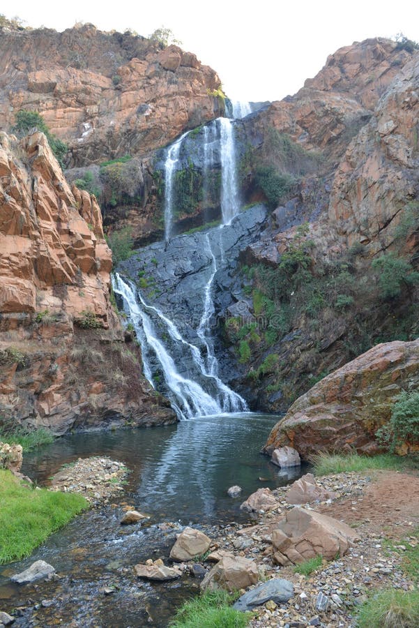 https://mdw-travel-data-us-east-1.s3.amazonaws.com/img/country/South-Africa/Walter-Sisulu-National-Botanical-Garden/img_03.jpg