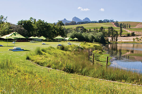 https://mdw-travel-data-us-east-1.s3.amazonaws.com/img/country/South-Africa/Warwick-Wine-Estate/img_03.jpg