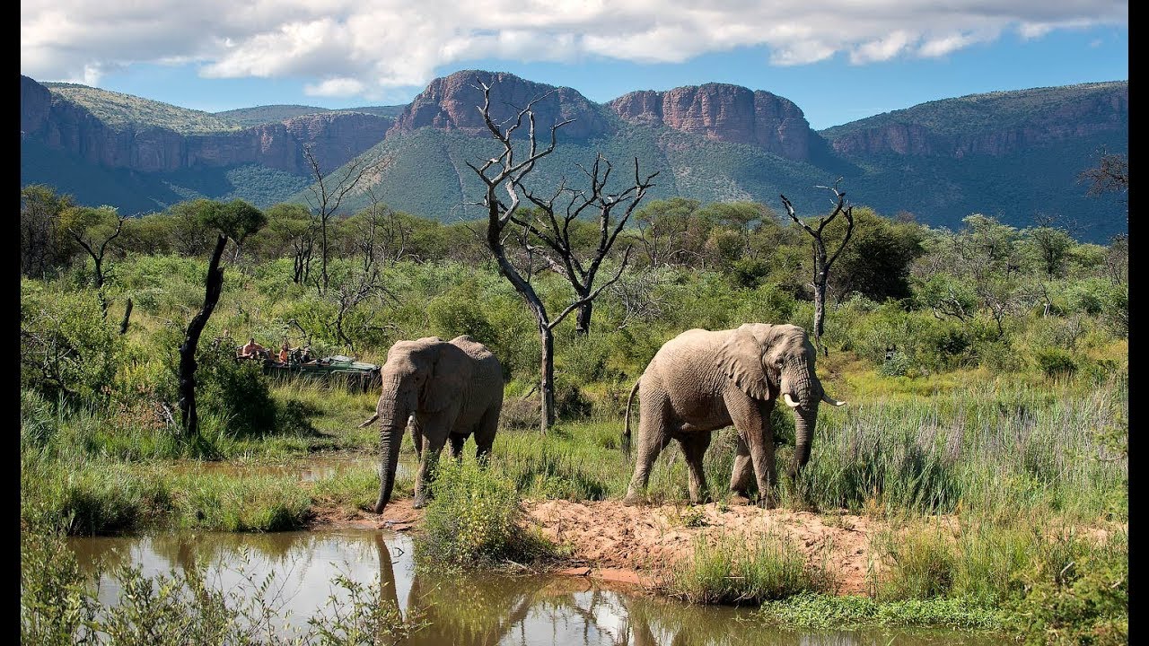 https://mdw-travel-data-us-east-1.s3.amazonaws.com/img/country/South-Africa/Waterberg-Biosphere-Reserve/img_03.jpg