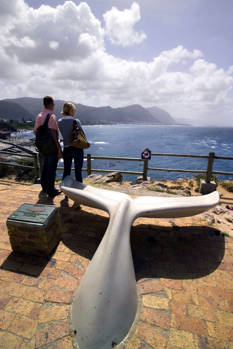 https://mdw-travel-data-us-east-1.s3.amazonaws.com/img/country/South-Africa/Whale-Watching-in-Walker-Bay/img_01.jpg