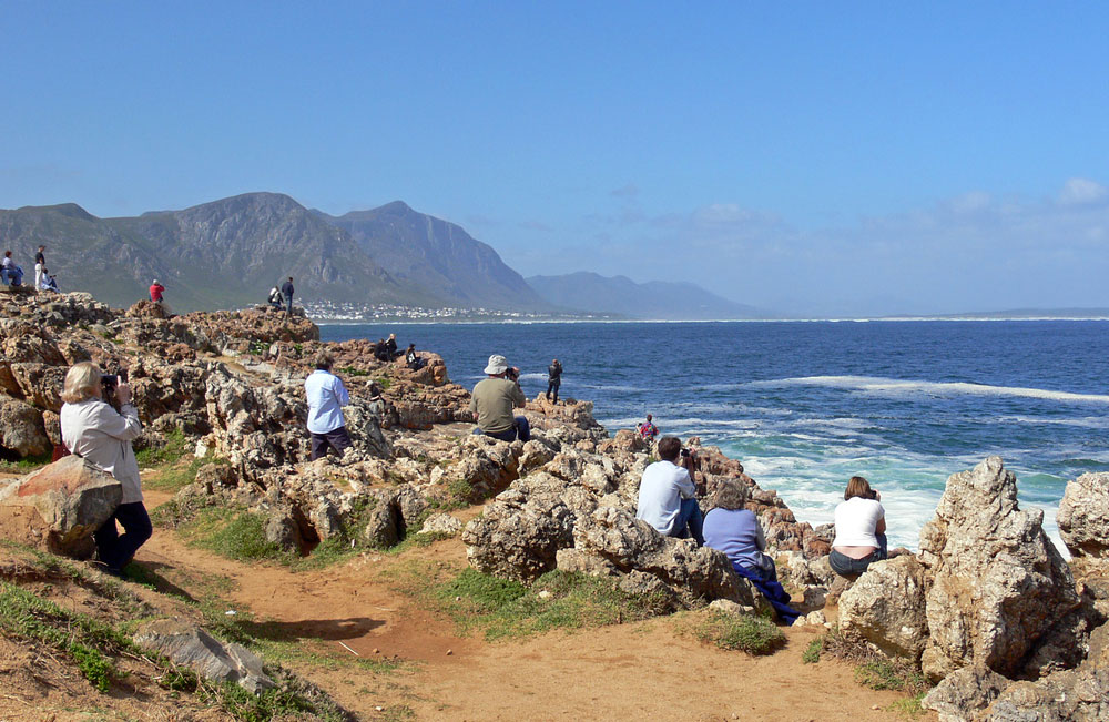 https://mdw-travel-data-us-east-1.s3.amazonaws.com/img/country/South-Africa/Whale-Watching/img_03.jpg