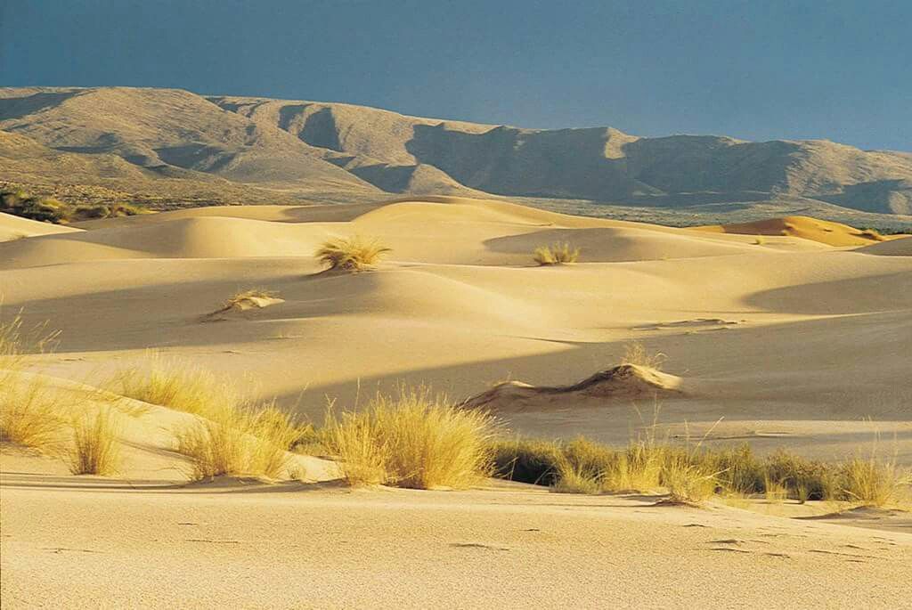 https://mdw-travel-data-us-east-1.s3.amazonaws.com/img/country/South-Africa/Witsand-Nature-Reserve-Gate/img_02.jpg