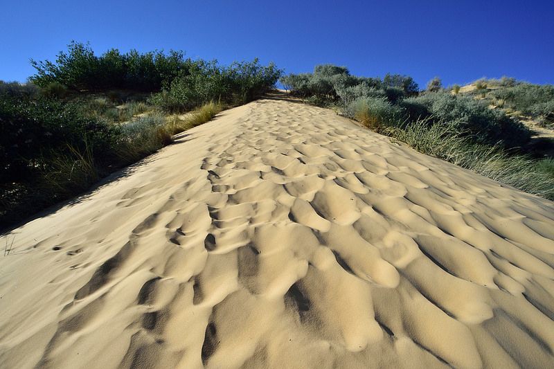 https://mdw-travel-data-us-east-1.s3.amazonaws.com/img/country/South-Africa/Witsand-Nature-Reserve/img_03.jpg