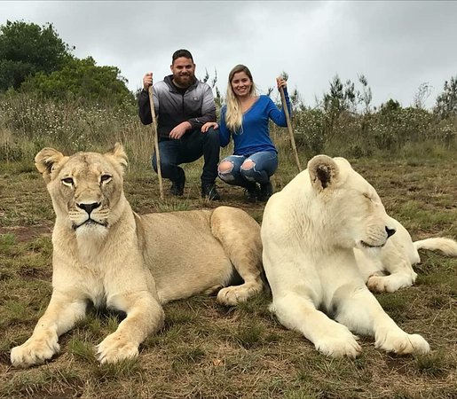 https://mdw-travel-data-us-east-1.s3.amazonaws.com/img/country/South-Africa/Zorgfontein-Game-Farm/img_01.jpg
