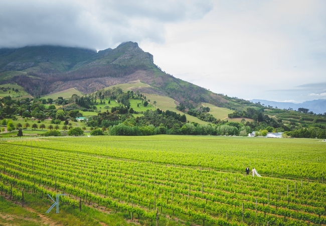 https://mdw-travel-data-us-east-1.s3.amazonaws.com/img/country/South-Africa/Zorgvliet-Wines/img_03.jpg