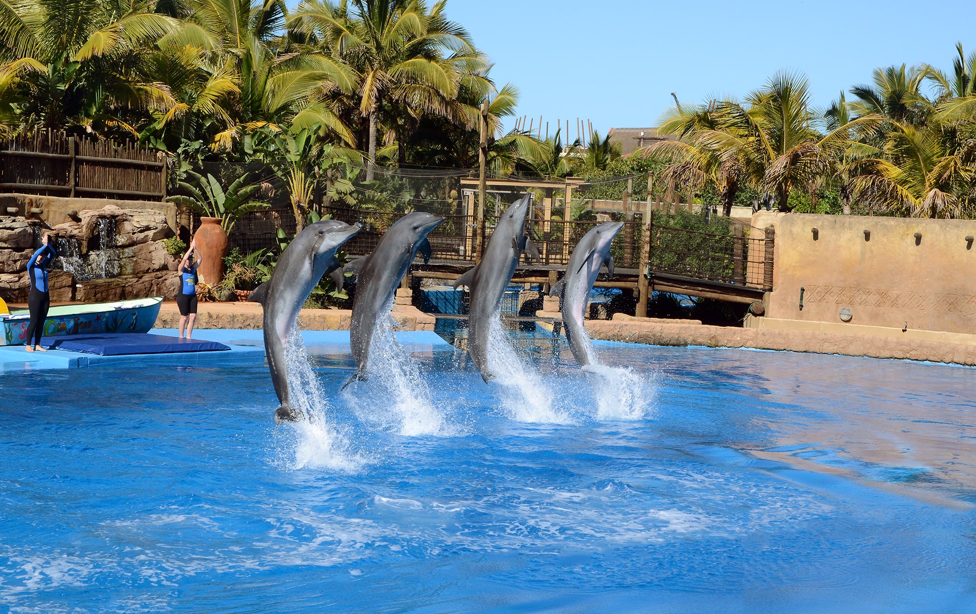 https://mdw-travel-data-us-east-1.s3.amazonaws.com/img/country/South-Africa/uShaka-Marine-World/img_00.jpg