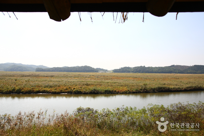 https://mdw-travel-data-us-east-1.s3.amazonaws.com/img/country/South-Korea/Ansan-Reed-Marsh-Park/img_00.jpg