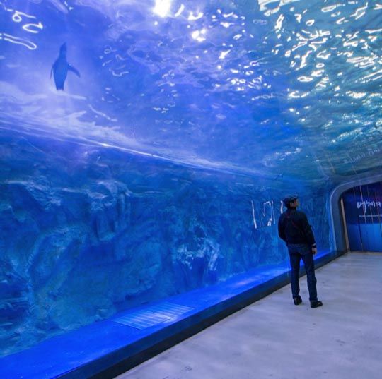 https://mdw-travel-data-us-east-1.s3.amazonaws.com/img/country/South-Korea/Aquarium-&-Fishing-Village/img_03.jpg