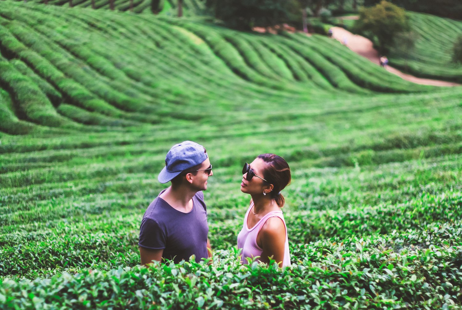 https://mdw-travel-data-us-east-1.s3.amazonaws.com/img/country/South-Korea/Boseong-Green-Tea-Plantation/img_01.jpg