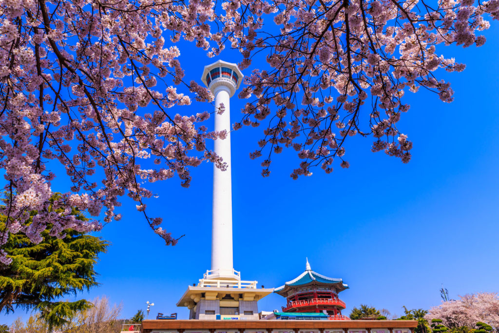 https://mdw-travel-data-us-east-1.s3.amazonaws.com/img/country/South-Korea/Busan-Tower/img_01.jpg