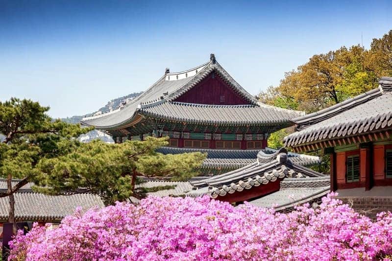 https://mdw-travel-data-us-east-1.s3.amazonaws.com/img/country/South-Korea/Changdeokgung-Palace/img_01.jpg