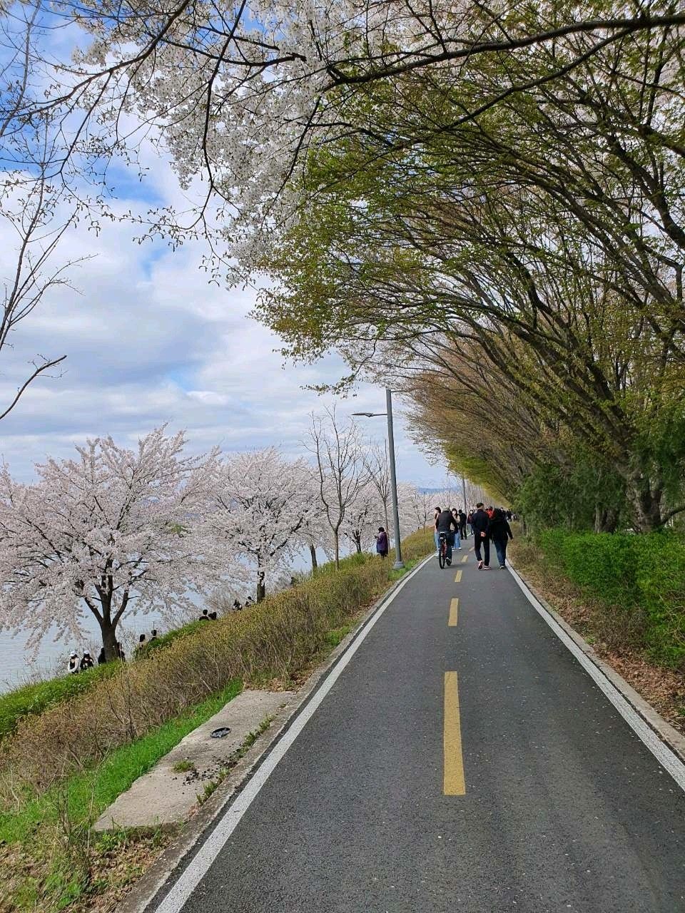 https://mdw-travel-data-us-east-1.s3.amazonaws.com/img/country/South-Korea/Chungnam-Agricultural-Park/img_02.jpg
