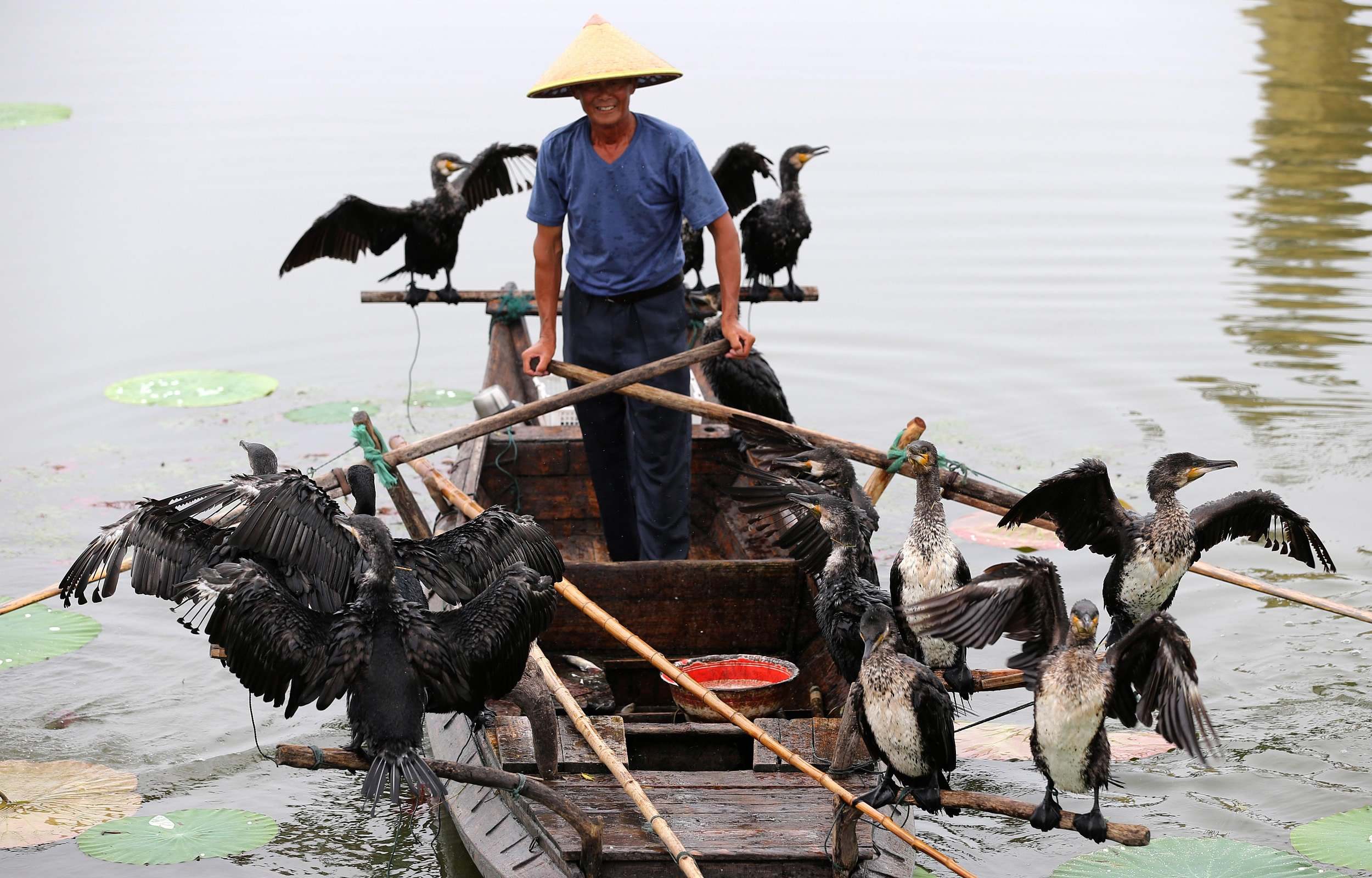 https://mdw-travel-data-us-east-1.s3.amazonaws.com/img/country/South-Korea/Cormorant-Fishing-Festival/img_02.jpg