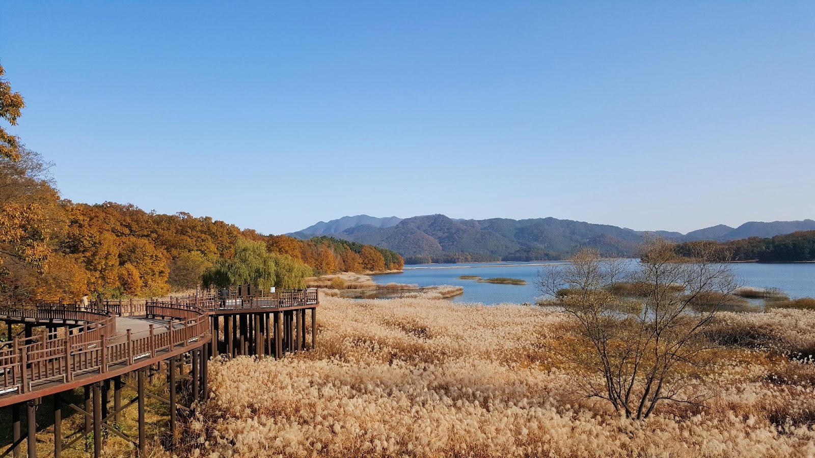 https://mdw-travel-data-us-east-1.s3.amazonaws.com/img/country/South-Korea/Daecheongho-Lake/img_02.jpg