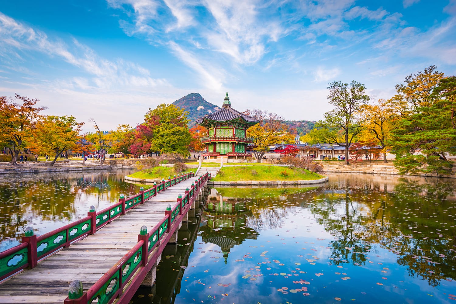 https://mdw-travel-data-us-east-1.s3.amazonaws.com/img/country/South-Korea/Daejeon-Metropolitan-Museum/img_03.jpg