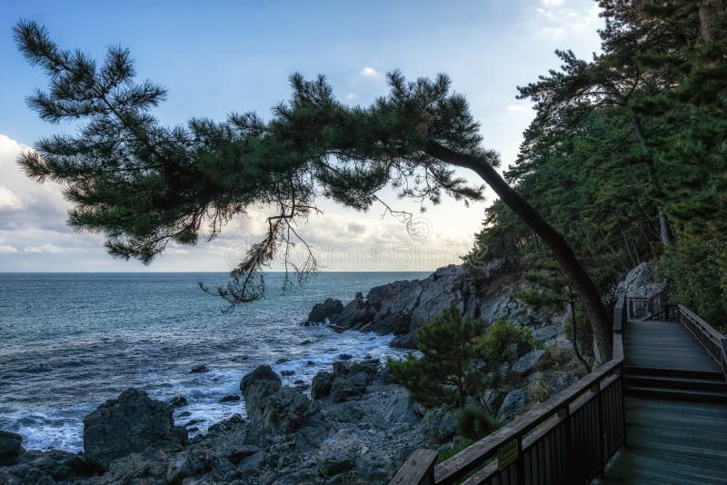 https://mdw-travel-data-us-east-1.s3.amazonaws.com/img/country/South-Korea/Dongbaekseom-Island/img_02.jpg