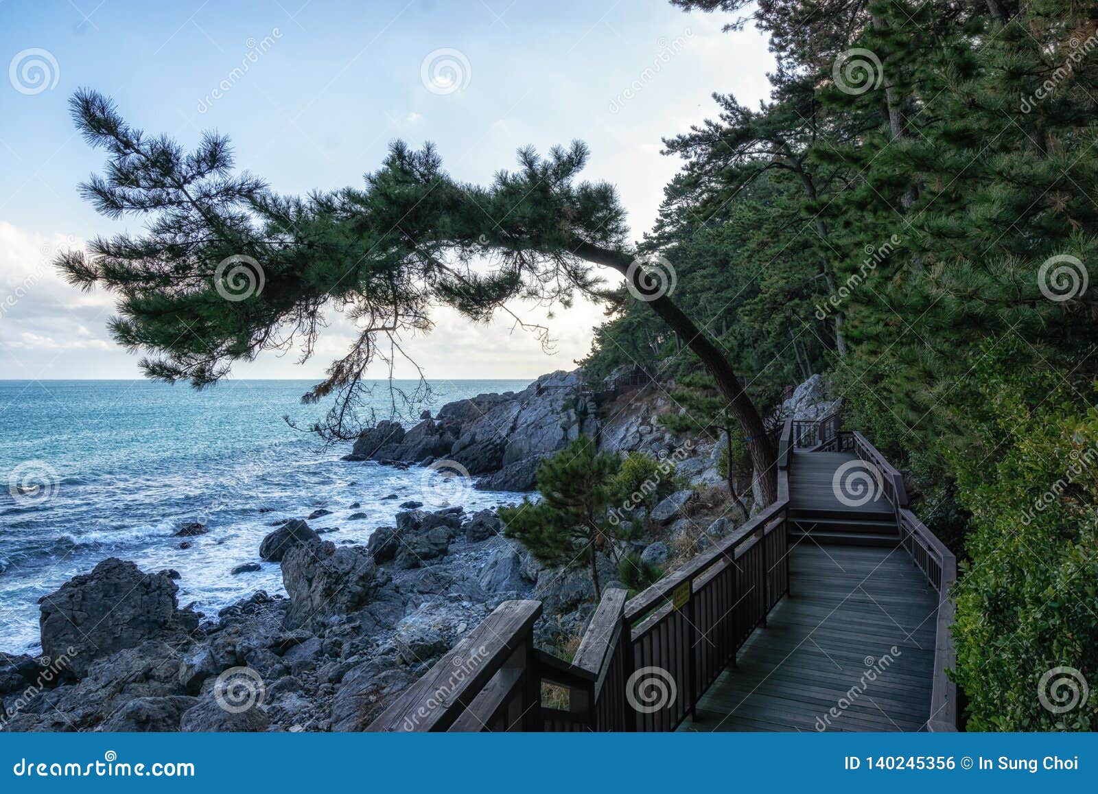 https://mdw-travel-data-us-east-1.s3.amazonaws.com/img/country/South-Korea/Dongbaekseom-Island/img_03.jpg