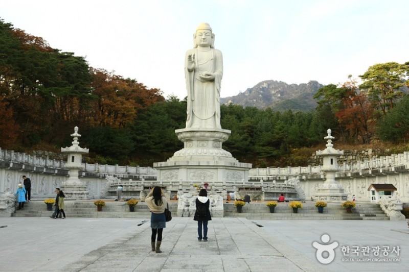 https://mdw-travel-data-us-east-1.s3.amazonaws.com/img/country/South-Korea/Donghwasa-Temple/img_01.jpg