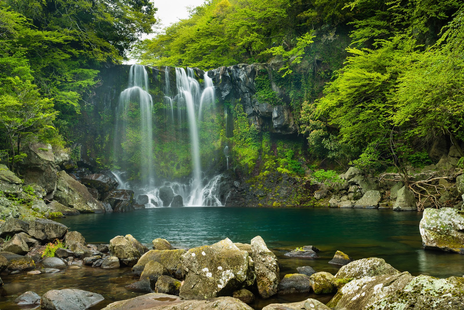 https://mdw-travel-data-us-east-1.s3.amazonaws.com/img/country/South-Korea/Dukmanjang/img_02.jpg