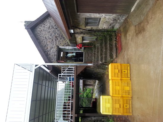 https://mdw-travel-data-us-east-1.s3.amazonaws.com/img/country/South-Korea/Eongtto-Falls/img_04.jpg