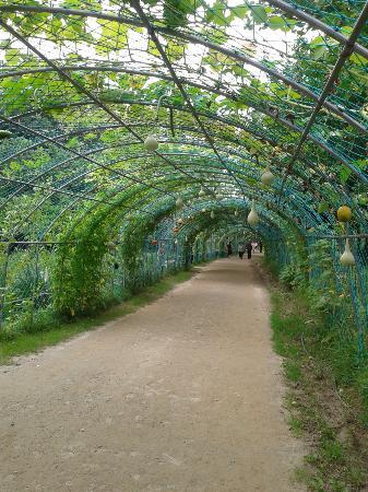 https://mdw-travel-data-us-east-1.s3.amazonaws.com/img/country/South-Korea/Gasan-Arboretum/img_01.jpg