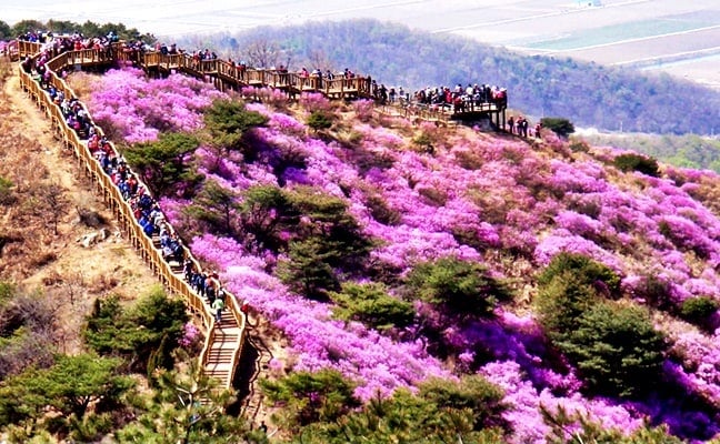 https://mdw-travel-data-us-east-1.s3.amazonaws.com/img/country/South-Korea/Goryeosan-Mountain/img_01.jpg