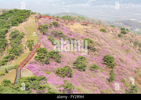 https://mdw-travel-data-us-east-1.s3.amazonaws.com/img/country/South-Korea/Goryeosan-Mountain/img_02.jpg