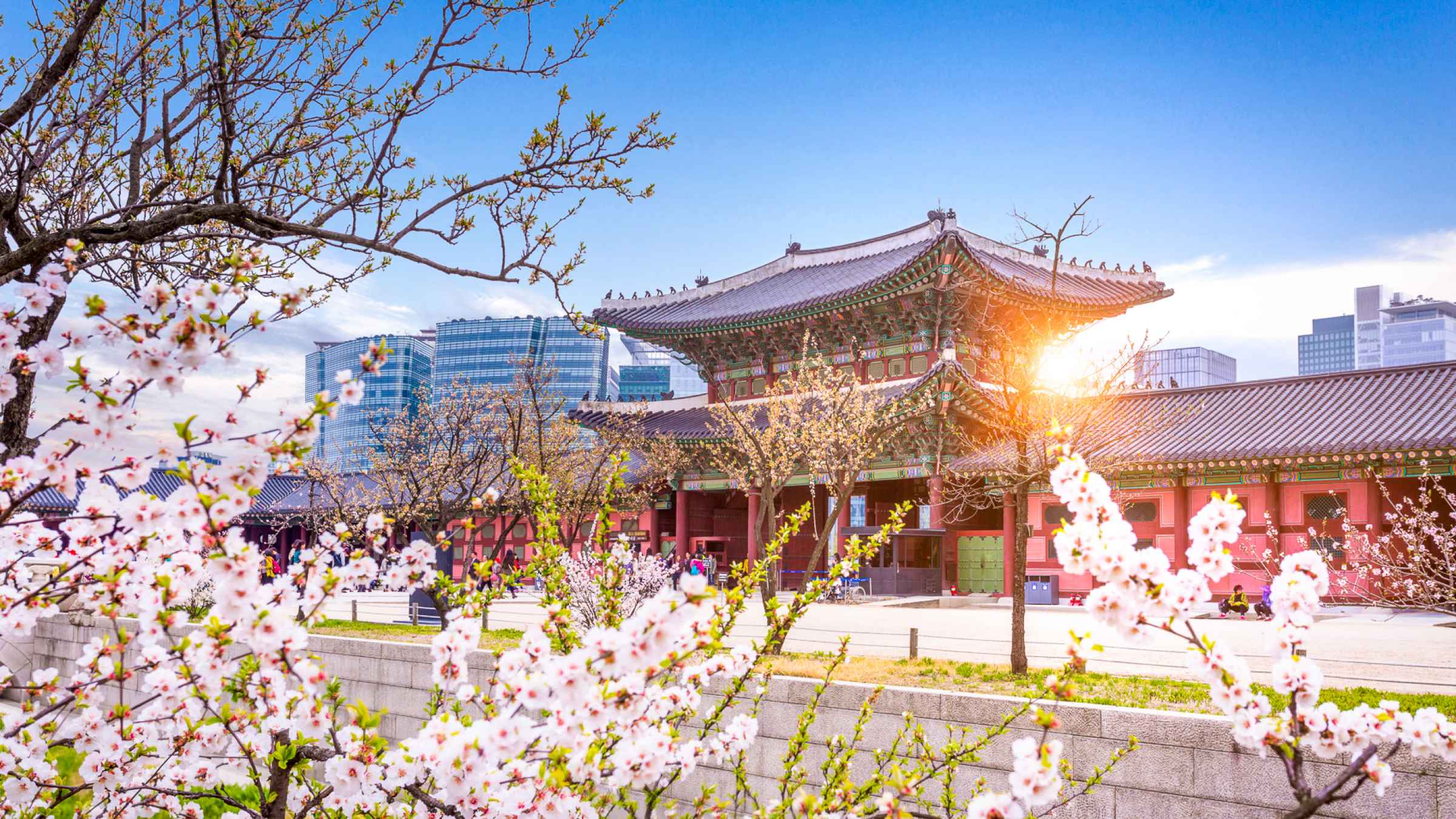 https://mdw-travel-data-us-east-1.s3.amazonaws.com/img/country/South-Korea/Grim-Reaper-Rail-Bike/img_02.jpg