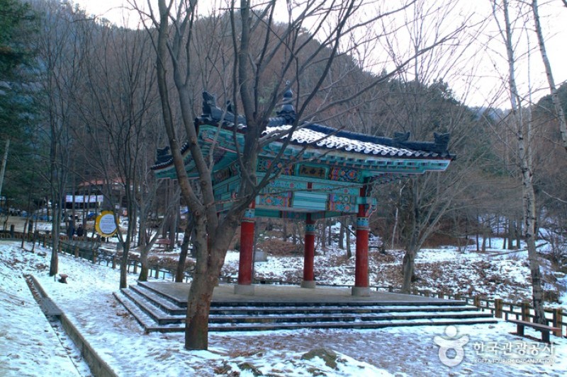 https://mdw-travel-data-us-east-1.s3.amazonaws.com/img/country/South-Korea/Gugok-Falls/img_01.jpg