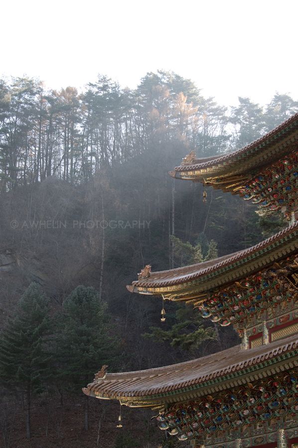 https://mdw-travel-data-us-east-1.s3.amazonaws.com/img/country/South-Korea/Guinsa-Temple/img_02.jpg