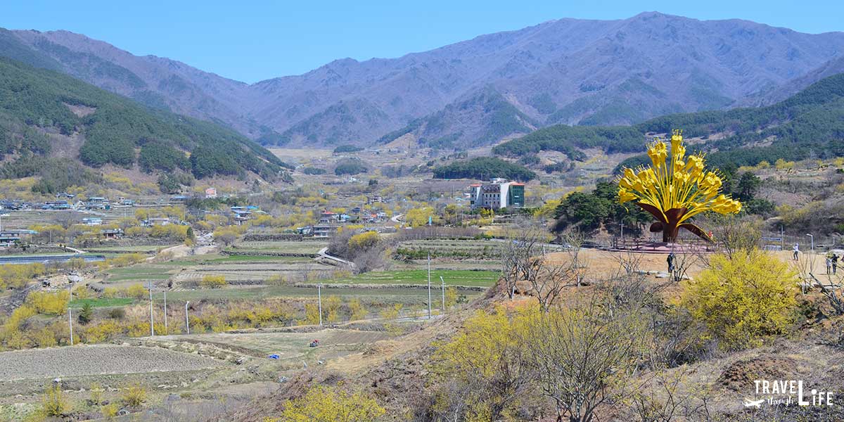 https://mdw-travel-data-us-east-1.s3.amazonaws.com/img/country/South-Korea/Gurye-Sansuyu-Festival/img_03.jpg