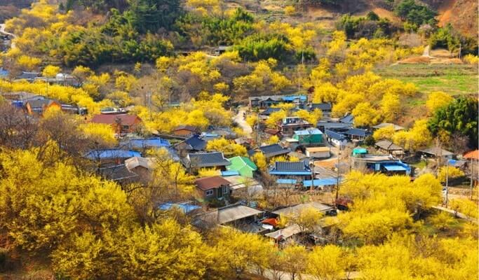 https://mdw-travel-data-us-east-1.s3.amazonaws.com/img/country/South-Korea/Gurye-Sansuyu-Village/img_01.jpg