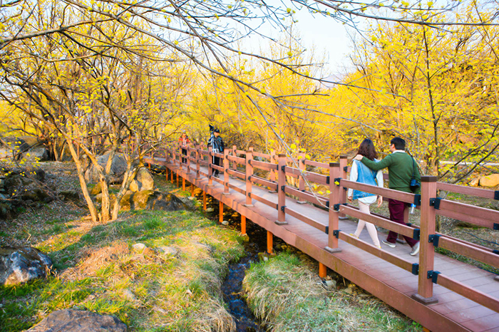 https://mdw-travel-data-us-east-1.s3.amazonaws.com/img/country/South-Korea/Gurye-Sansuyu-Village/img_02.jpg
