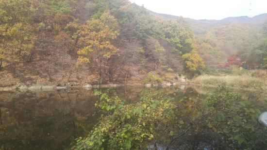 https://mdw-travel-data-us-east-1.s3.amazonaws.com/img/country/South-Korea/Gwanggyosan-Mountain/img_01.jpg