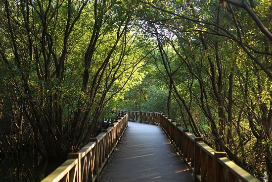 https://mdw-travel-data-us-east-1.s3.amazonaws.com/img/country/South-Korea/Gwangjuho-Lake-Eco-Park/img_01.jpg