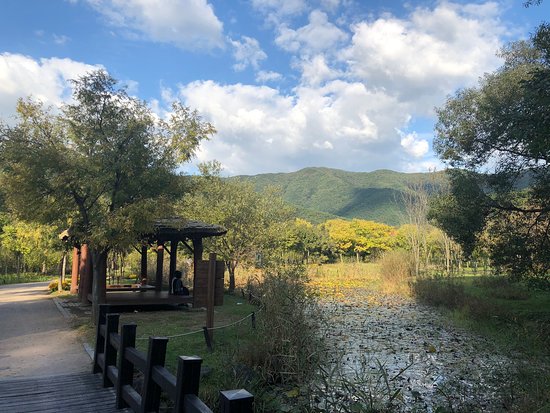 https://mdw-travel-data-us-east-1.s3.amazonaws.com/img/country/South-Korea/Gwangjuho-Lake-Eco-Park/img_02.jpg