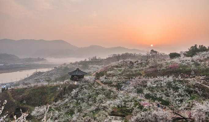 https://mdw-travel-data-us-east-1.s3.amazonaws.com/img/country/South-Korea/Gwangyang-Maehwa-Village/img_02.jpg