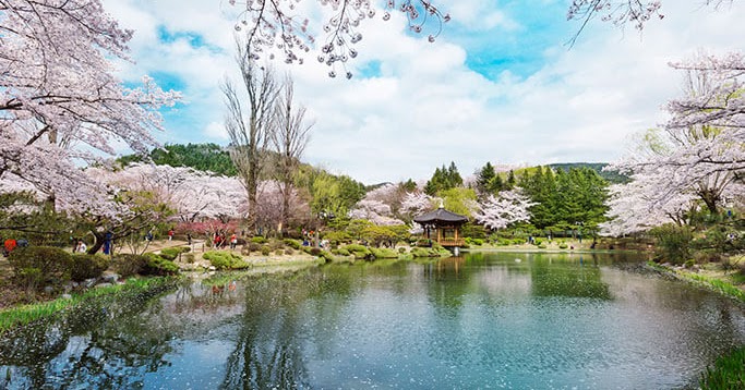 https://mdw-travel-data-us-east-1.s3.amazonaws.com/img/country/South-Korea/Gyeongju-Cherry-Marathon/img_01.jpg